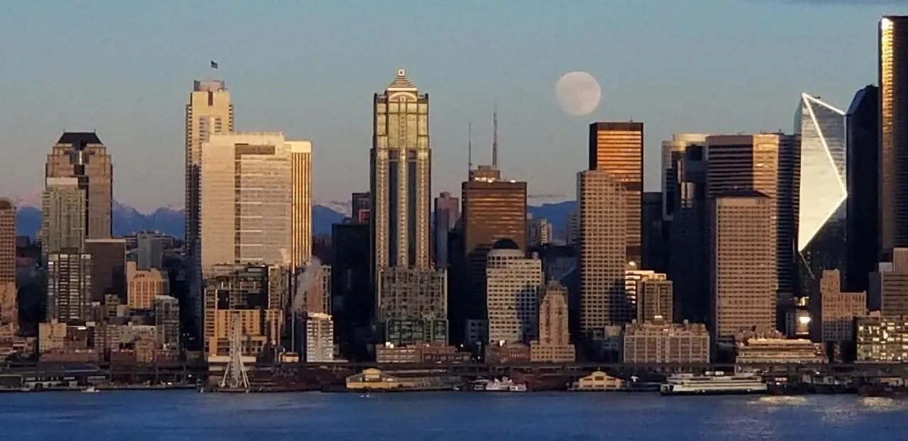Appartement 180 Degree, Unobstructed Bluff View! à Seattle