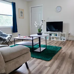 Jay's Cozy Escape Apartment Tampa